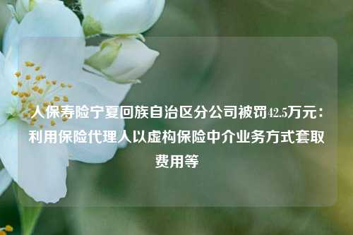 人保寿险宁夏回族自治区分公司被罚42.5万元：利用保险代理人以虚构保险中介业务方式套取费用等