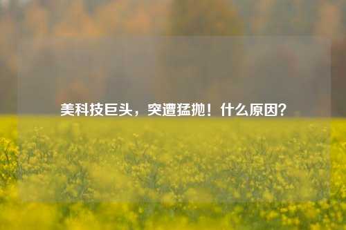 美科技巨头，突遭猛抛！什么原因？