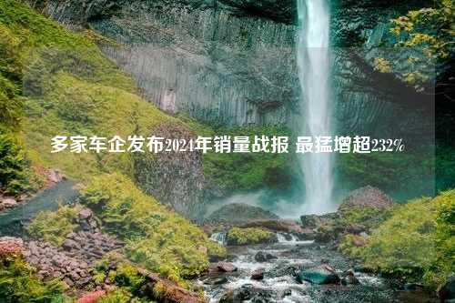 多家车企发布2024年销量战报 最猛增超232%