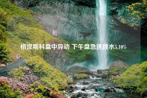 格涅斯科盘中异动 下午盘急速跳水5.10%